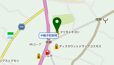 マツモトキヨシ中種子店の地図画像