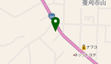 鹿児島ダイハツ販売大口店の地図画像