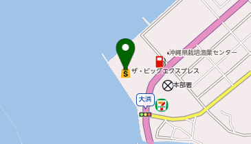 ザ・ビッグエクスプレスもとぶ店の地図画像