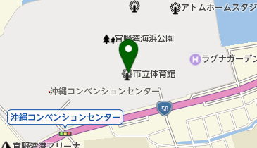 宜野湾市立体育館の地図画像