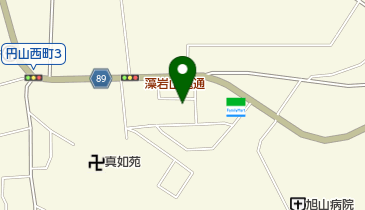 株式会社岩根研究所の地図画像