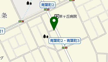 青葉通整骨院の地図画像