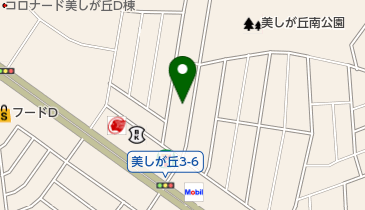 美しが丘整骨院の地図画像