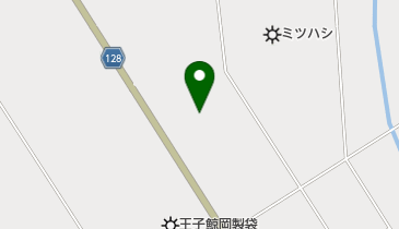 パピルス化成株式会社の地図画像