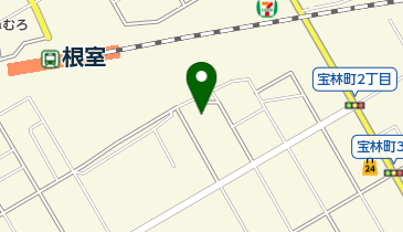 有限会社北濃運輸の地図画像