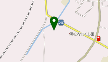 洞参寺の地図画像