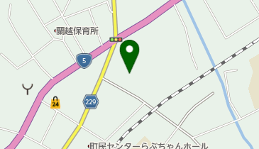 大成寺の地図画像