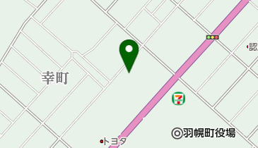 有限会社大輪自動車整備工業の地図画像