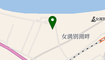 有限会社珍田商店 湖畔工場の地図画像