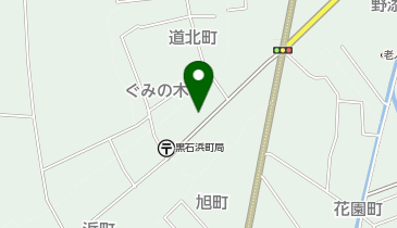 津軽保健生活協同組合健生 訪問看護ステーションちとせの地図画像