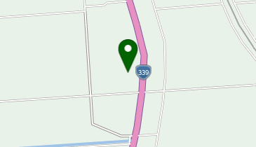 株式会社鳳松堂松橋造花本店の地図画像