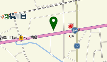 平運酒店の地図画像