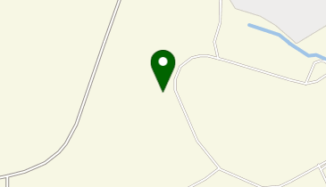 有限会社セイシンの地図画像