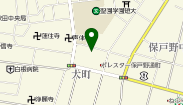 狭山流長谷山芳喜の地図画像