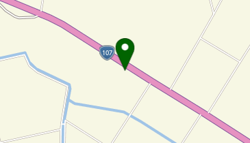 新山鯉屋の地図画像