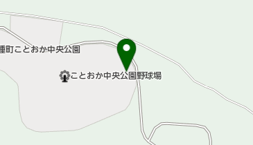 スカルパ野球場の地図画像