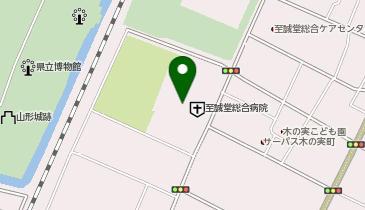 至誠堂訪問サービスセンターコスモスの地図画像