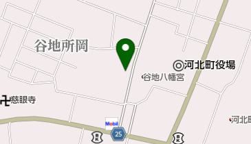 三ツ丸種苗店の地図画像