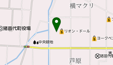 おしゃれセンター折笠 リオン・ドール店の地図画像