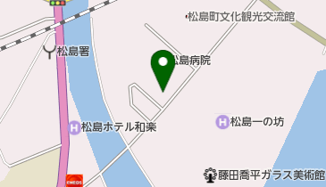 カメイ調剤薬局松島店の地図画像