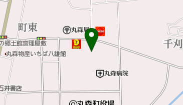 丸森ロイヤルケアセンターの地図画像