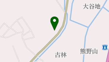 カルテの地図画像