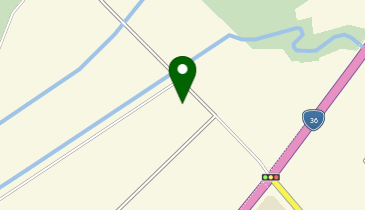 カープロデュースRootsの地図画像