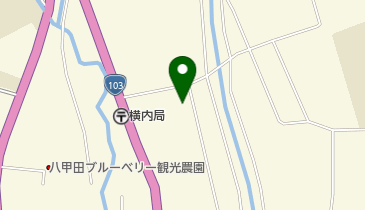 レーベンの地図画像