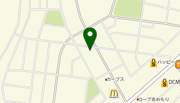 金正堂本店八戸店の地図画像