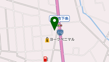 riccoの地図画像