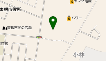 株式会社野川食肉食品センターびっくり市東根店の地図画像
