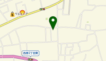 カイロプラクティック水戸セラピーの地図画像