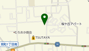 彩画の地図画像