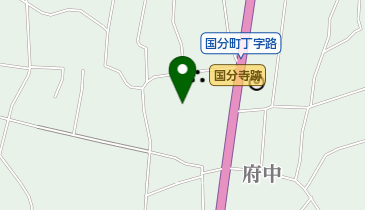 国分寺の地図画像