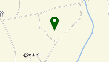 早乙女整骨院の地図画像