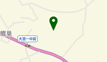 ヒカリカイロプラクティックの地図画像