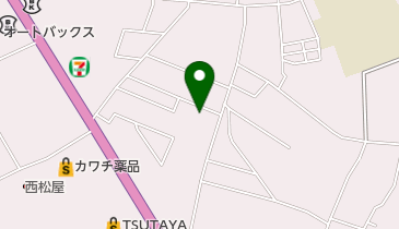 岩井中央整骨院の地図画像