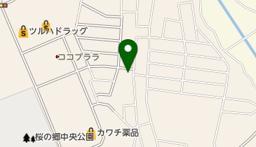 ホンダ薬品の地図画像