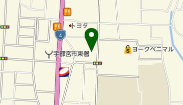 ナカノ薬品株式会社 宇都宮支店の地図画像