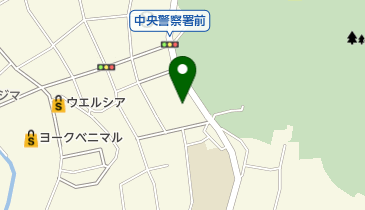 栃木放射線株式会社の地図画像