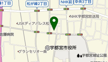 有限会社藤田商店の地図画像