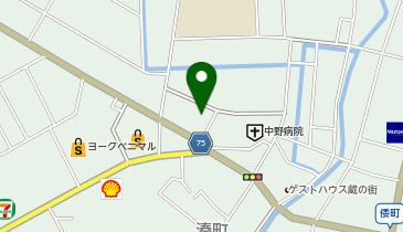 奥村整骨院の地図画像