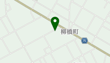 橋本皇漢堂はり・きゅう・整骨院の地図画像