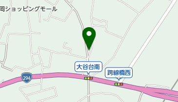 薬師泰漢堂の地図画像