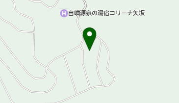 日本プロポリス株式会社矢板保養所の地図画像