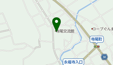 高崎市 寺尾集会所の地図画像