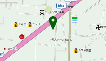 ワイルド・ワン高崎店の地図画像