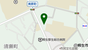 桐生市立 昭和公民館の地図画像