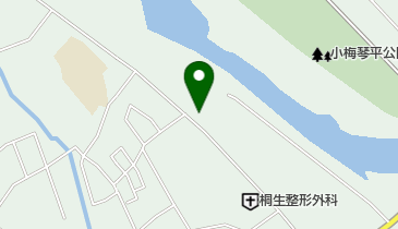 金井モータースの地図画像