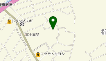 レディスファッションオガワ 指扇店の地図画像